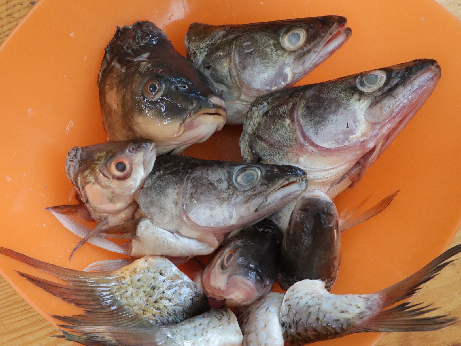 Step 4. When the heads and tails have boiled, leaving us with a rich broth, we take. Fish broth (ukha) in a kazan