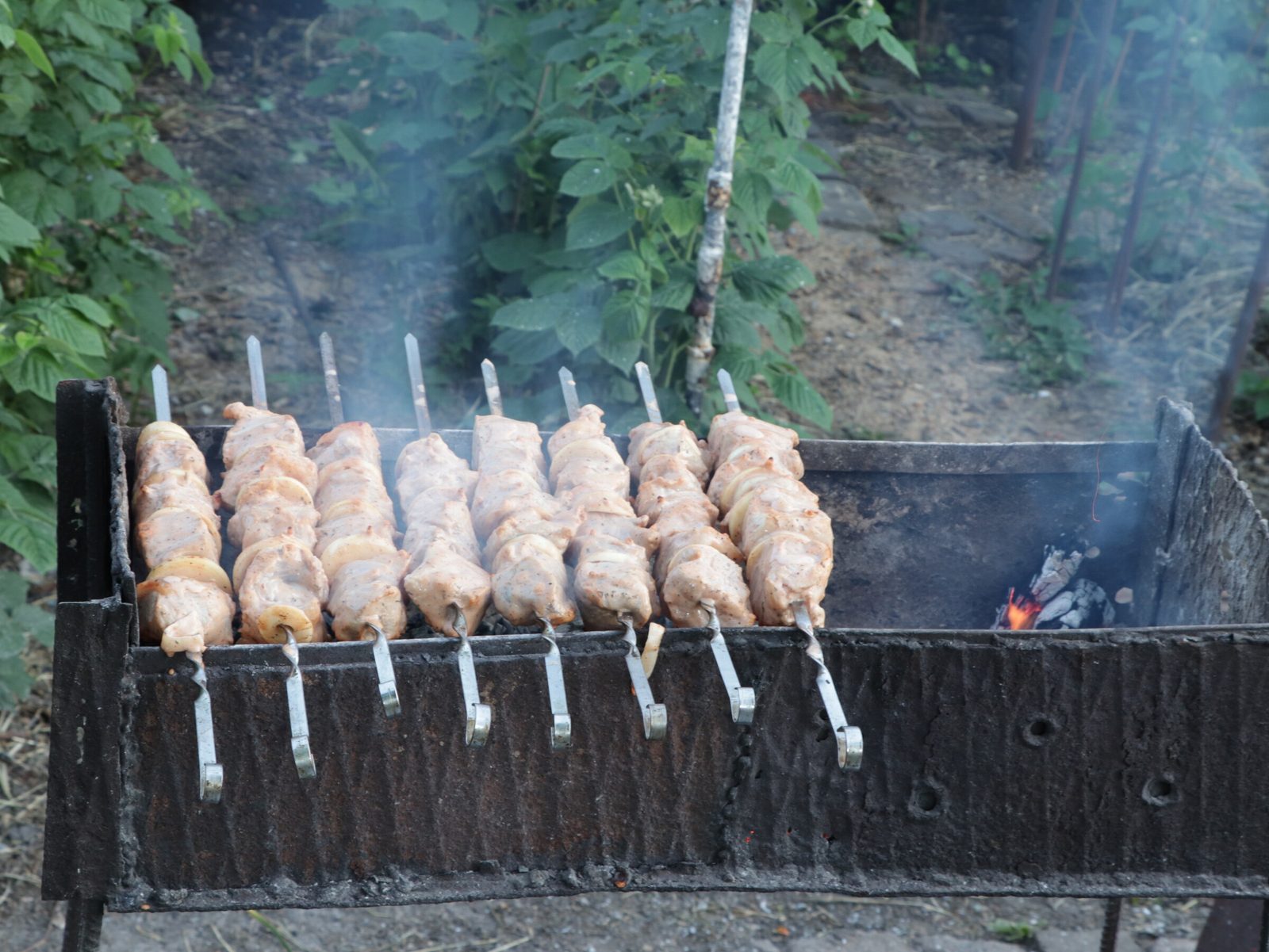 Step 7. To keep the coals even, leave a few burning logs at the inner edge of the. Juicy pork shashlik