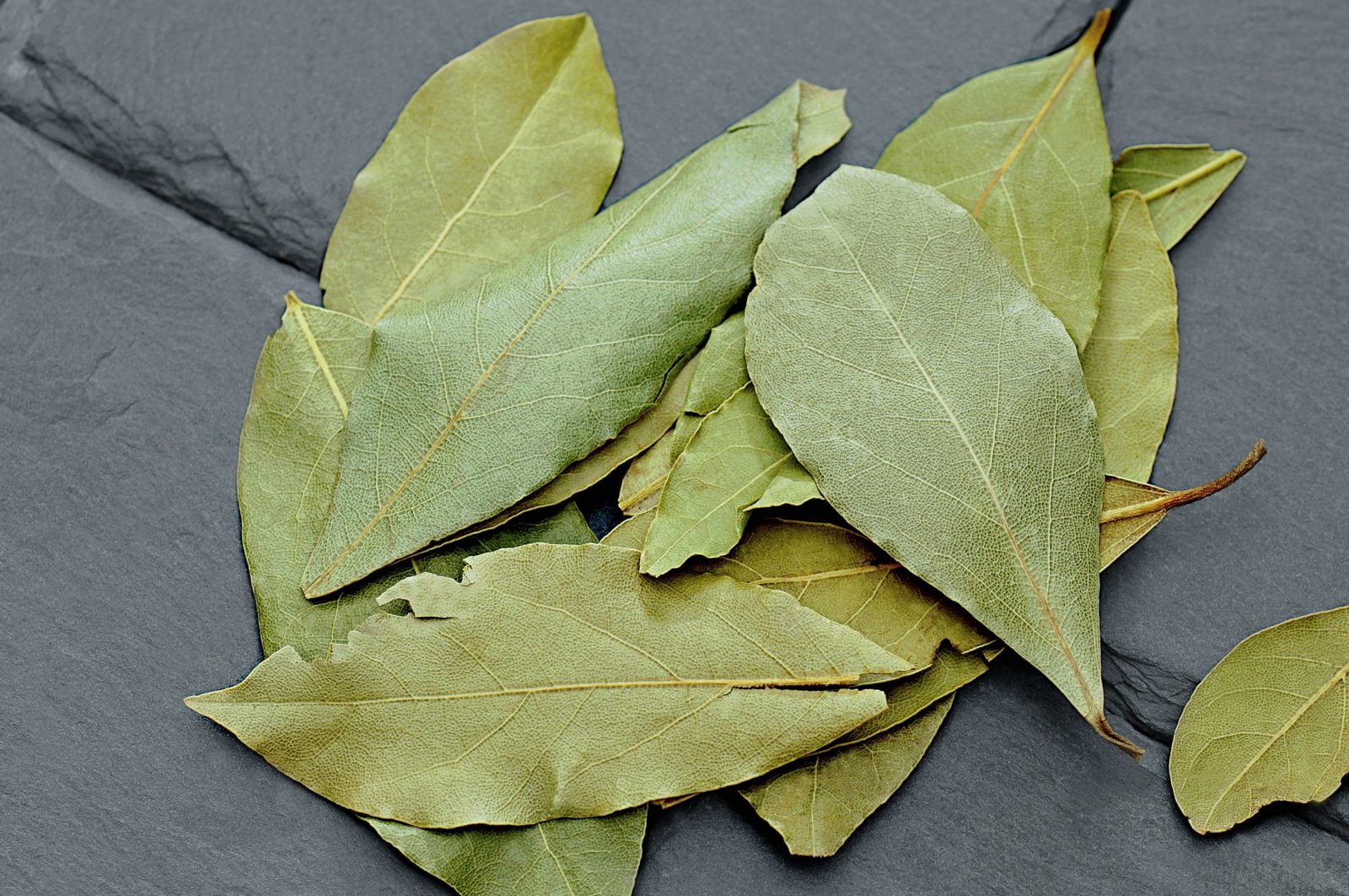 A bunch of bay leaves I keep sealed and in the dark
