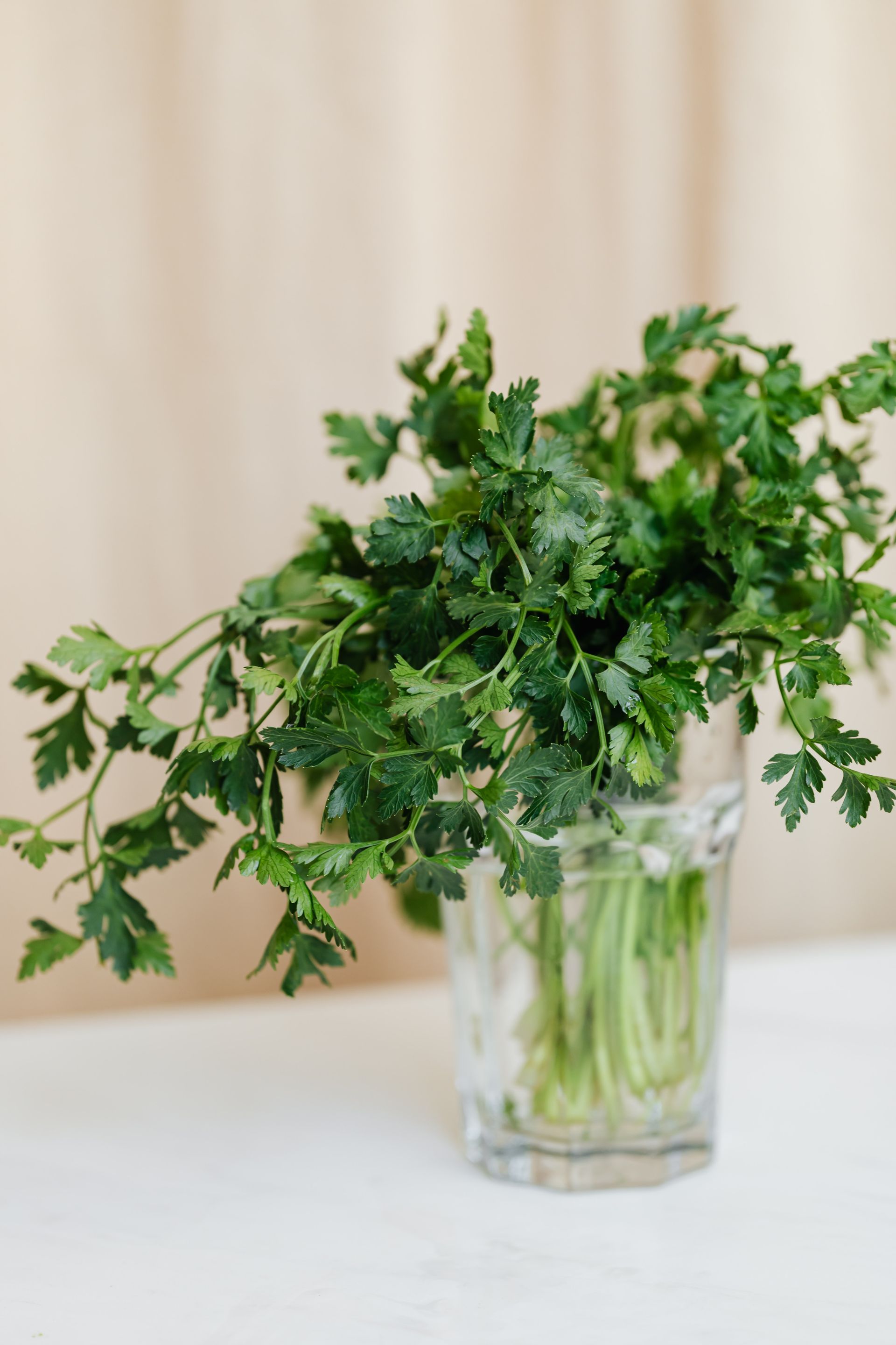 A bunch of parsley in a glass I keep by the board — so the hand takes leaves at the last moment