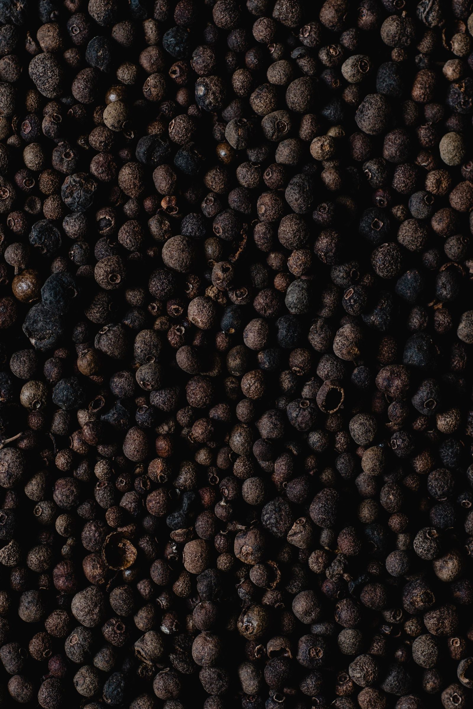 A quiet jar of allspice berries