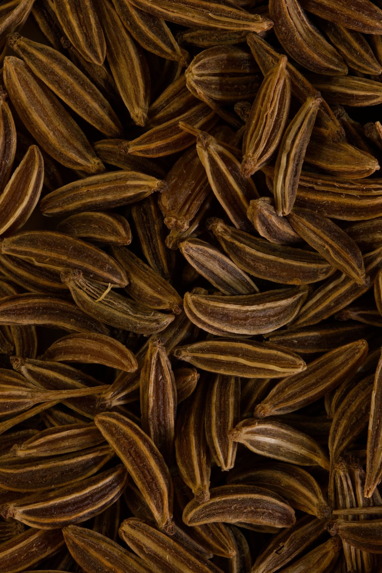 A quiet jar of caraway seeds