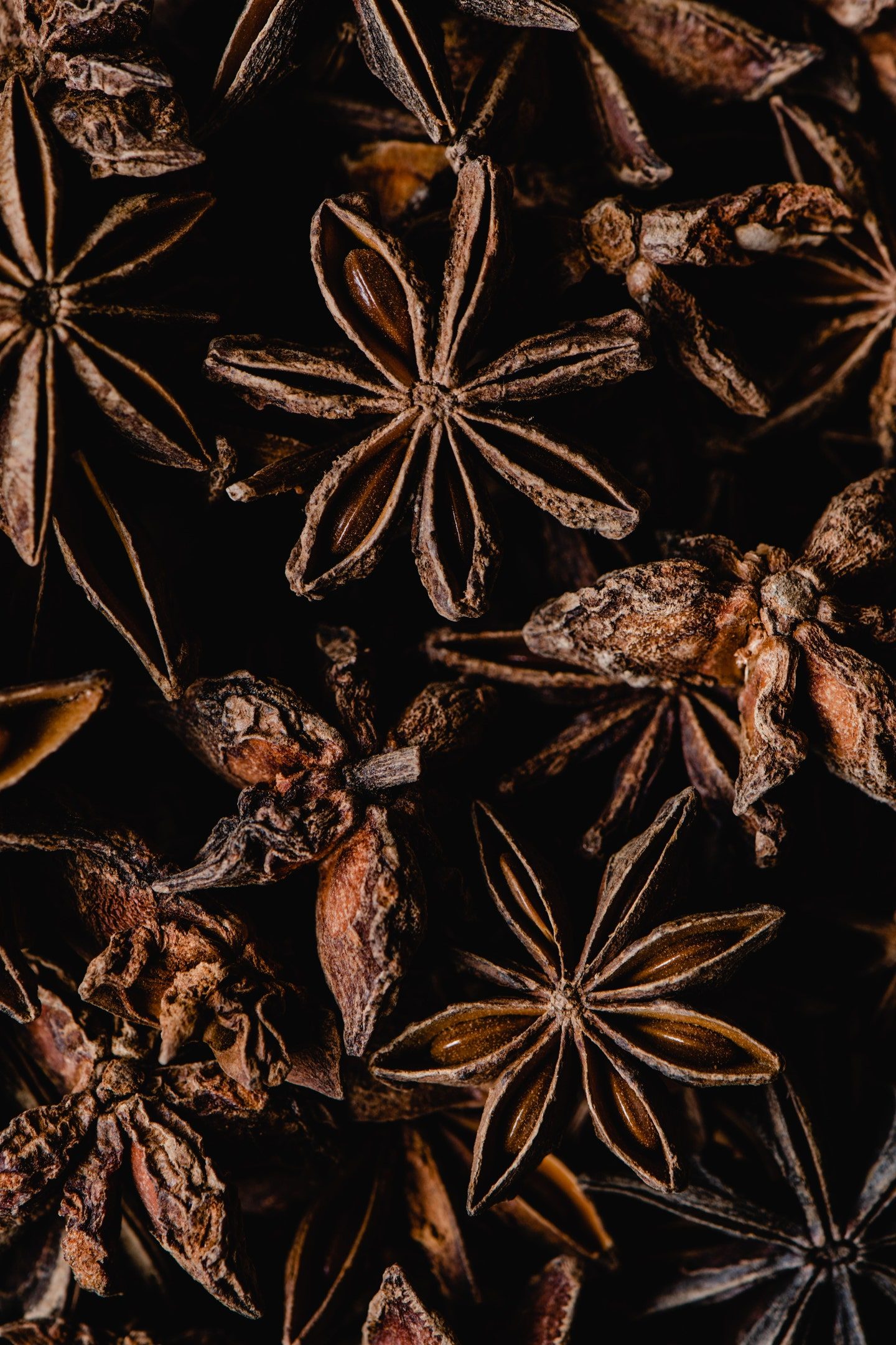 A quiet jar of star anise