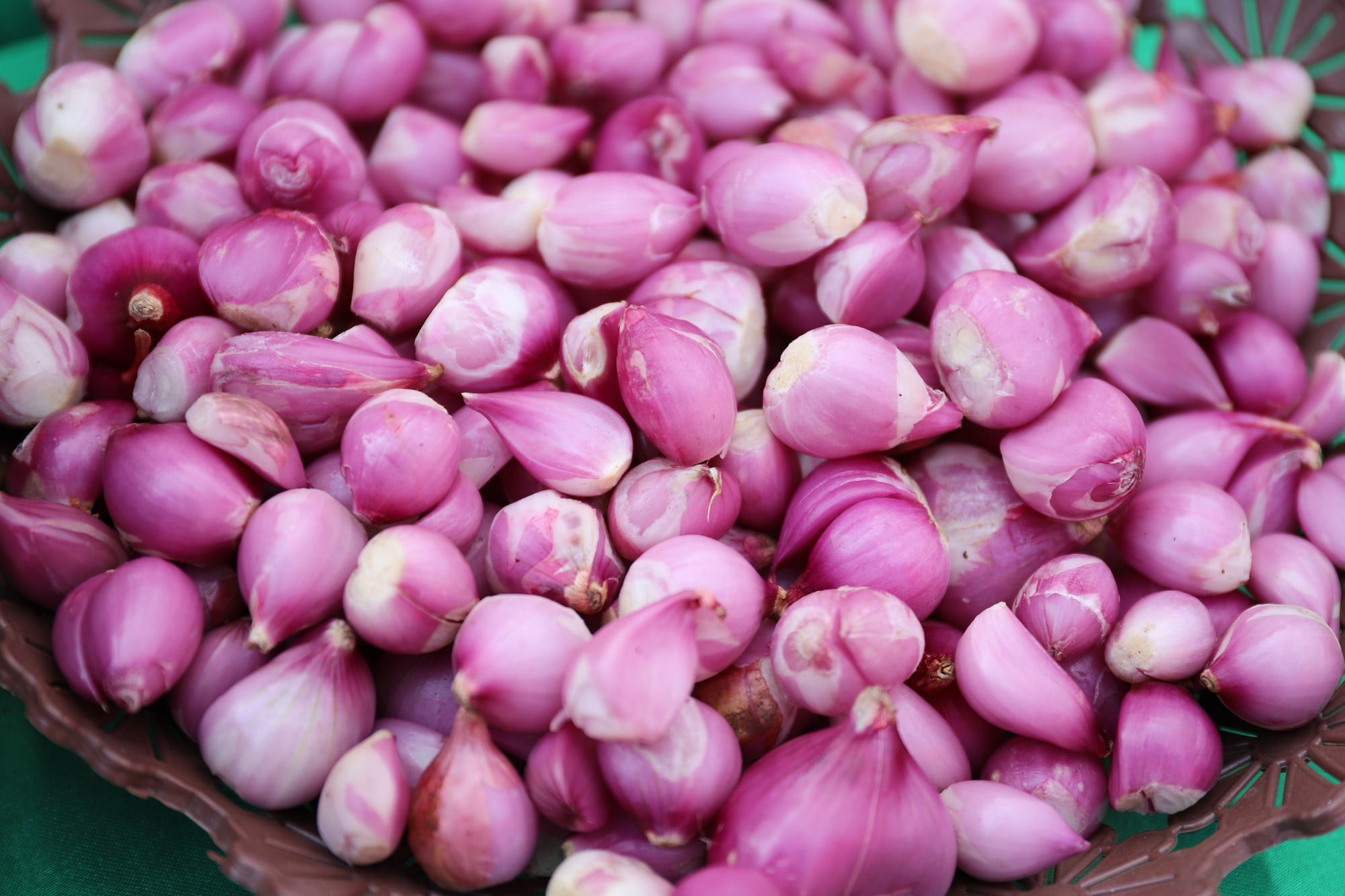 A quiet tray of shallots — cool and dry, not in the fridge