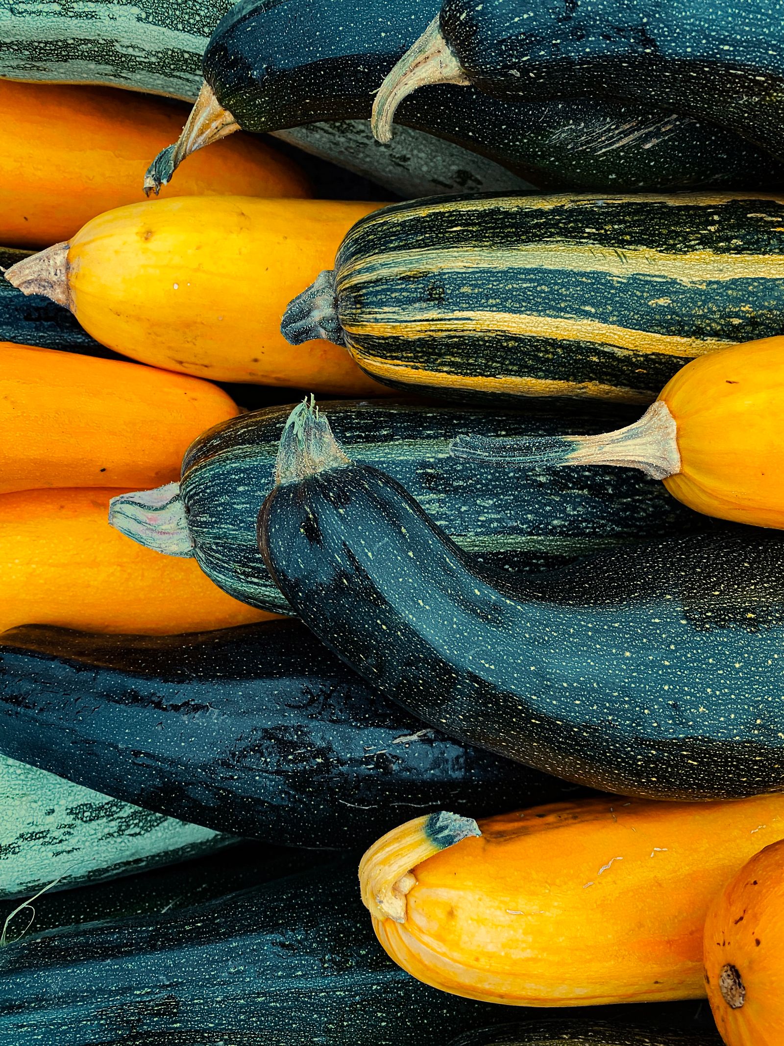Courgettes at the end of the glut — freeze or fritters?