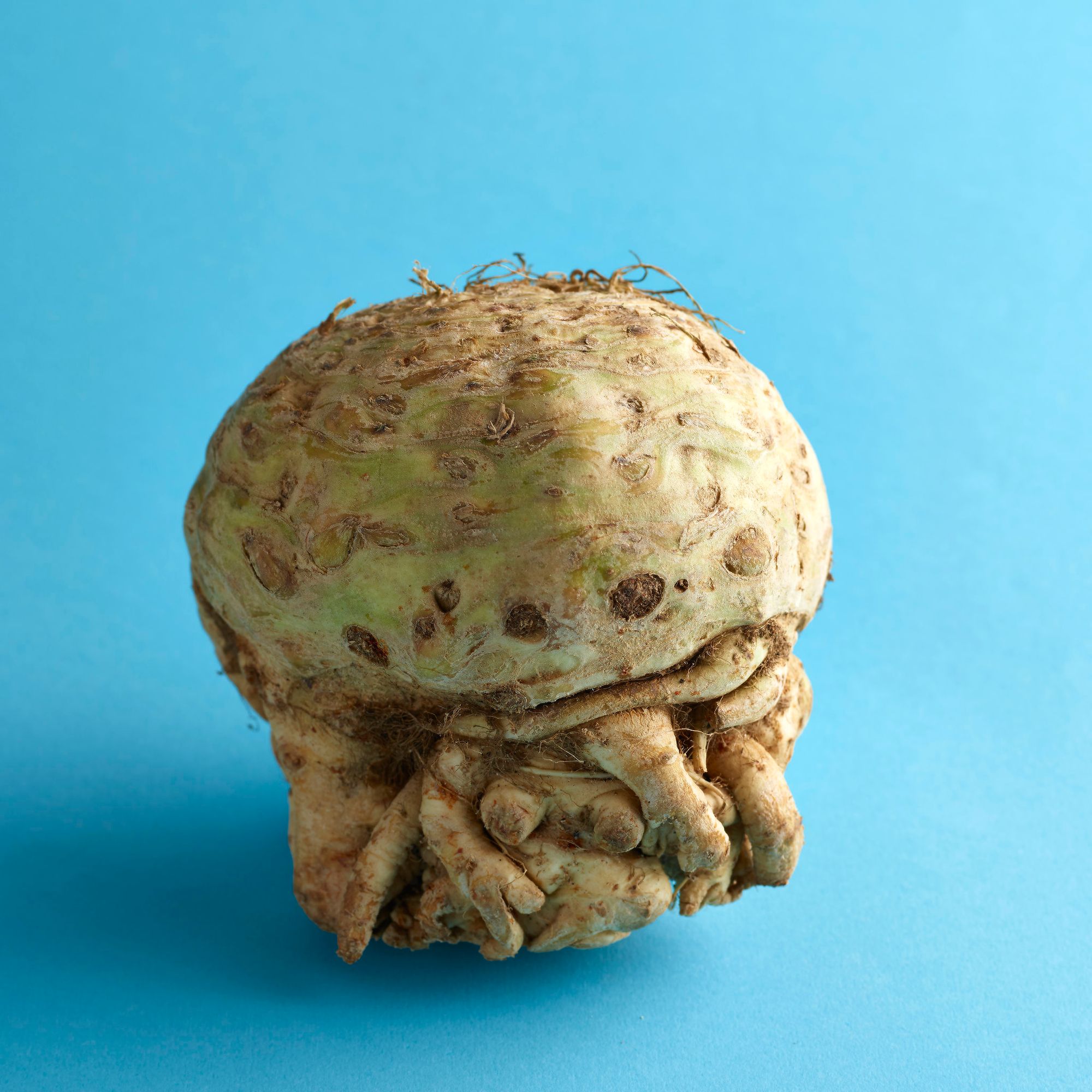 How I keep half a celeriac from going soft
