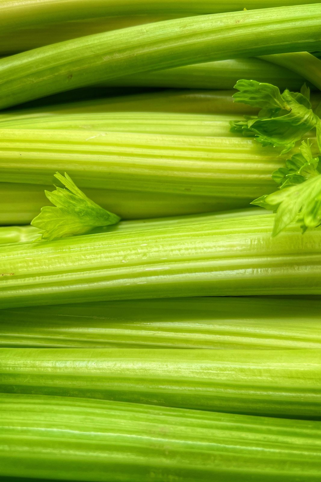 How I keep half a celery stick from going limp