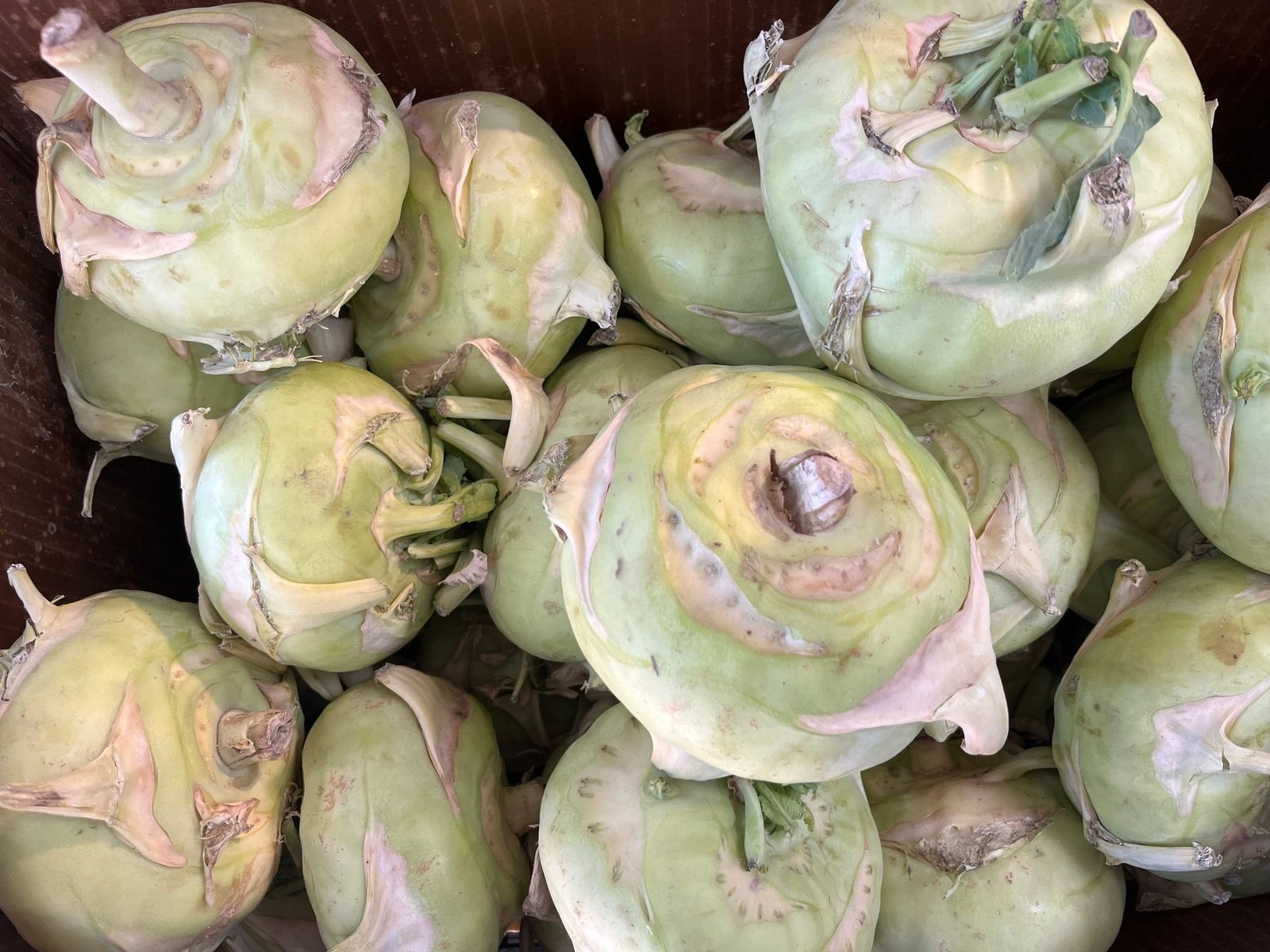 How I keep half a kohlrabi from drying at the cut
