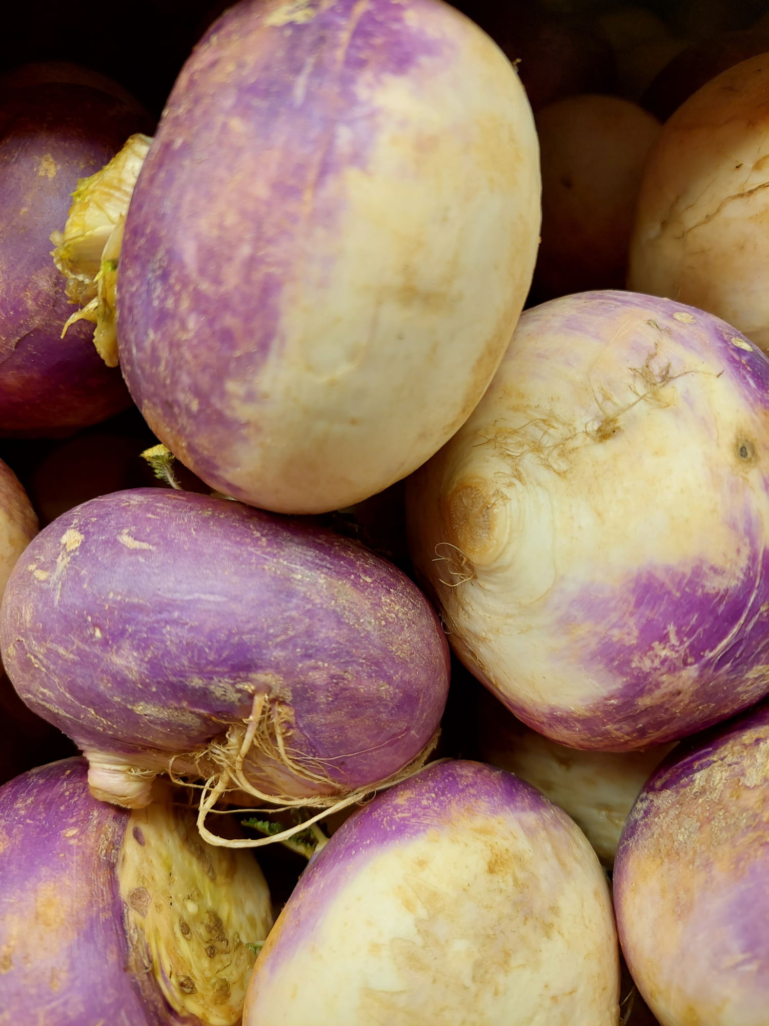 How I keep half a turnip from going woody-dry