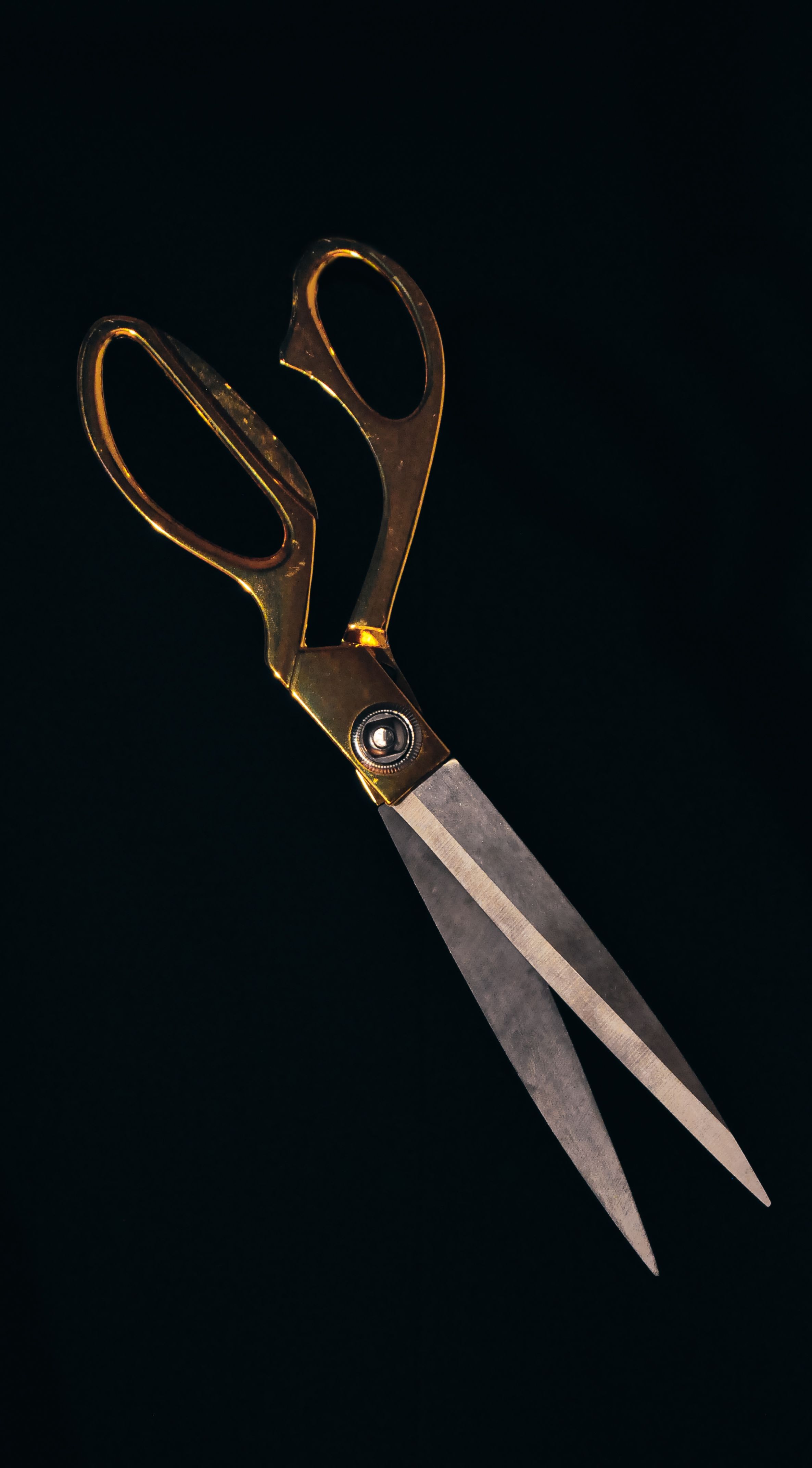 I rinse the kitchen scissors, I don't leave the blades in fat
