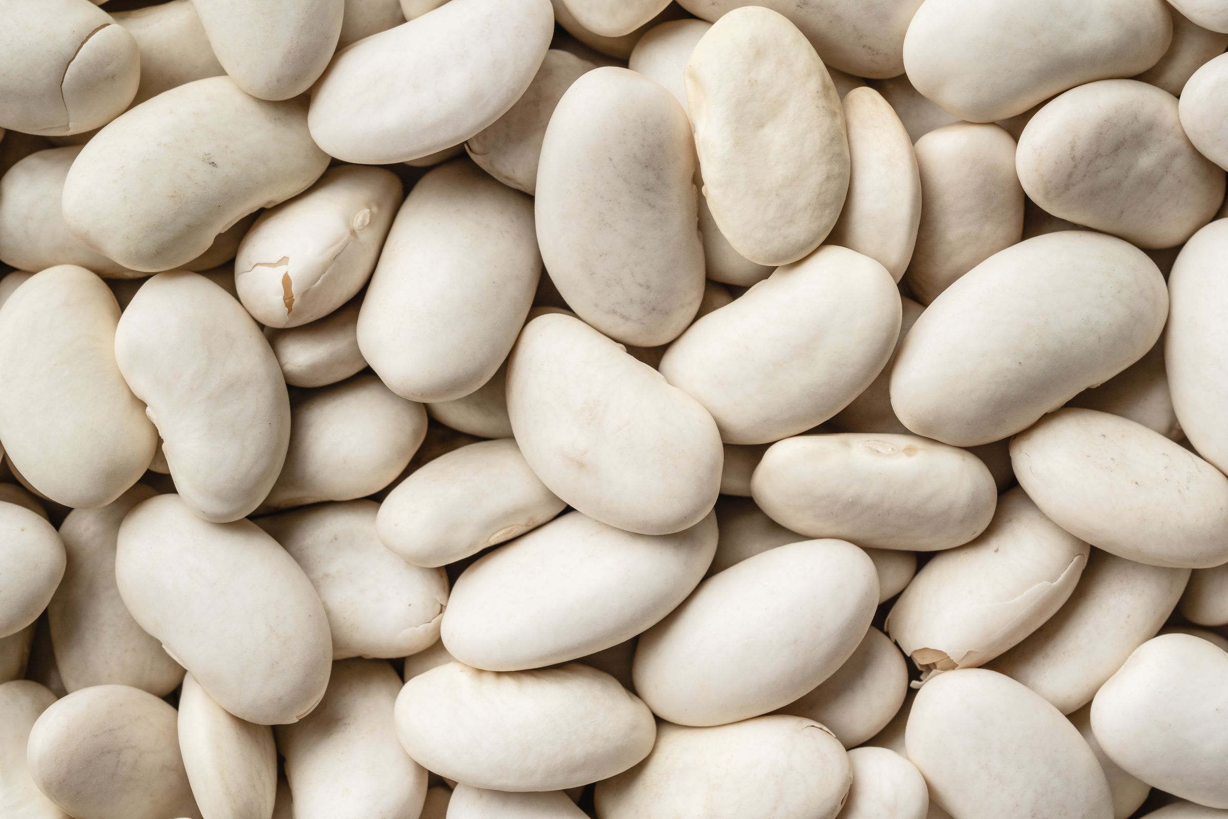 Leftover cooked cannellini beans — tomorrow’s mash on toast