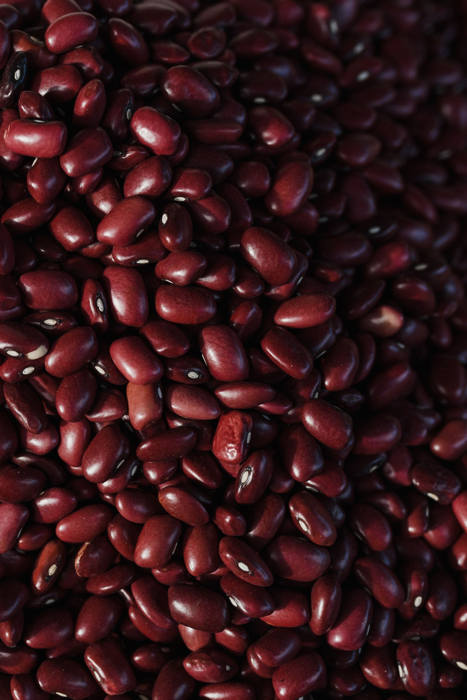 Leftover cooked kidney beans — tomorrow’s chilli