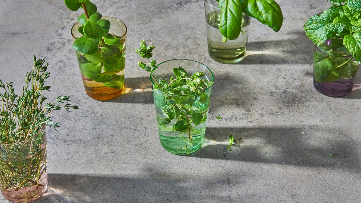 Dill in a glass of water — a bunch by the hob, not a bag in the drawer