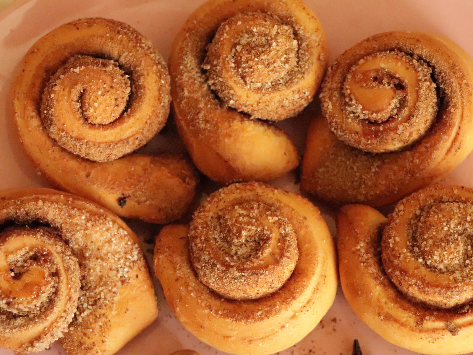 Step 4. Before putting our cinnamon rolls in the oven, leave them for about 20 minutes. Enriched cinnamon roses