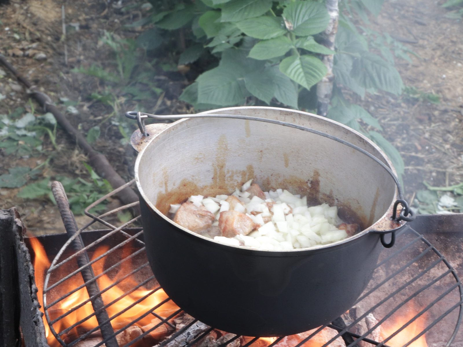 Step 5. Then add the onion. Plov in a kazan over the fire